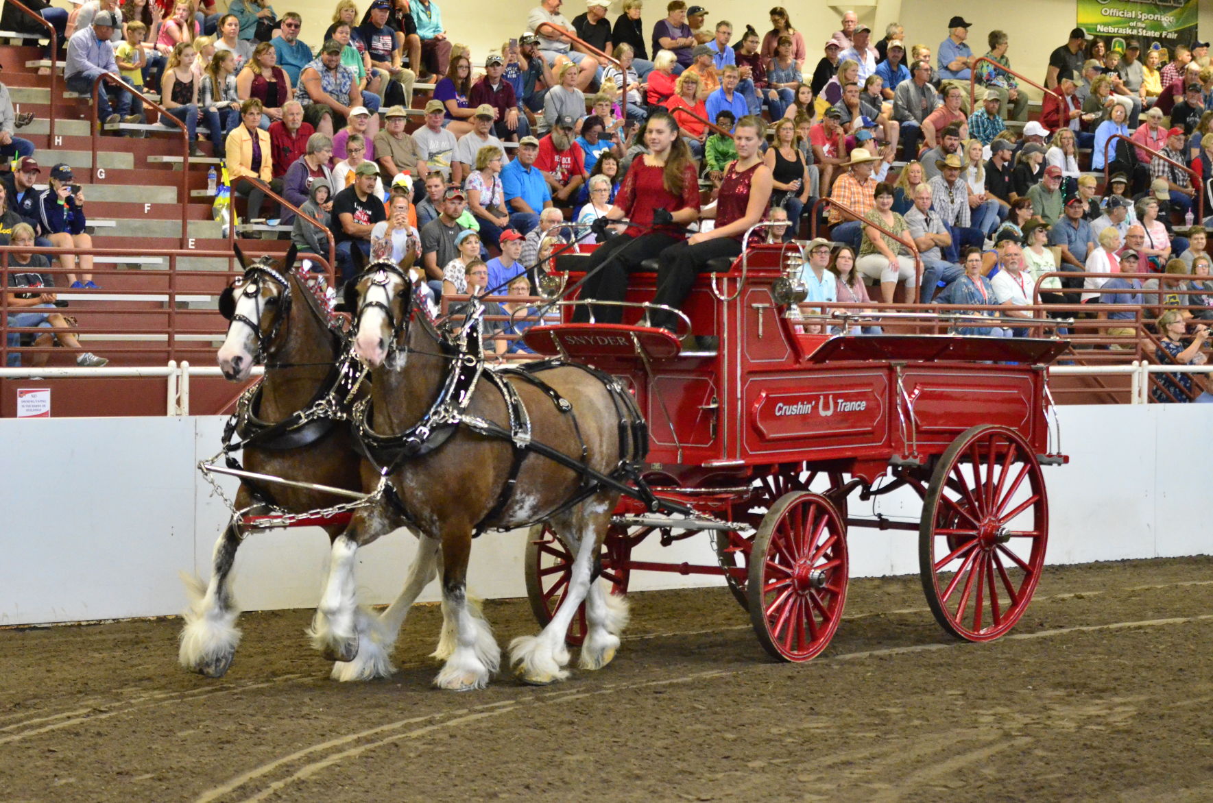 8-25-19 Draft Horse Hitch Final (53).JPG